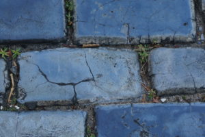 2018 December 18 – Ceramic Brick in San Juan -Nature keeps trying