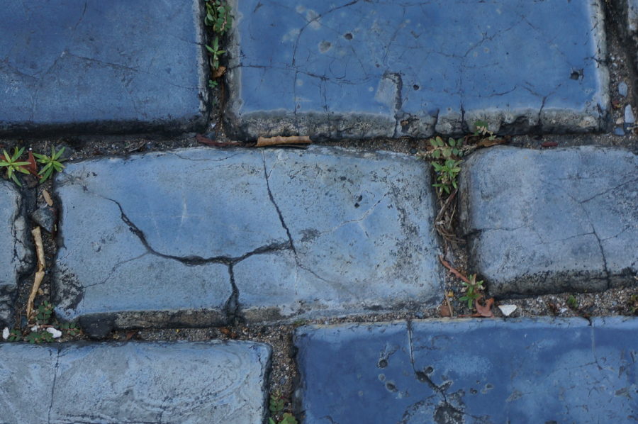 2018 December 18 – Ceramic Brick in San Juan -Nature keeps trying