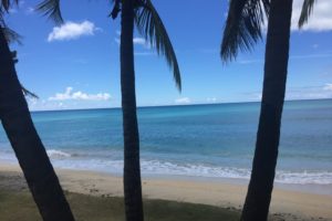 The Beach At LaLuna Resort, Grand Anse, Grenada