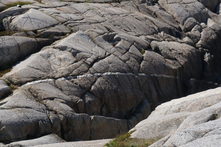 Scribbles 2018 December 31 — Fast Away