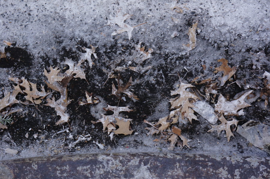 2019 February 1 – 15 Degrees