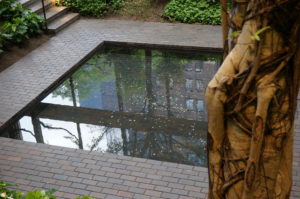 The Reflecting Pond - Ford Foundation Atrium